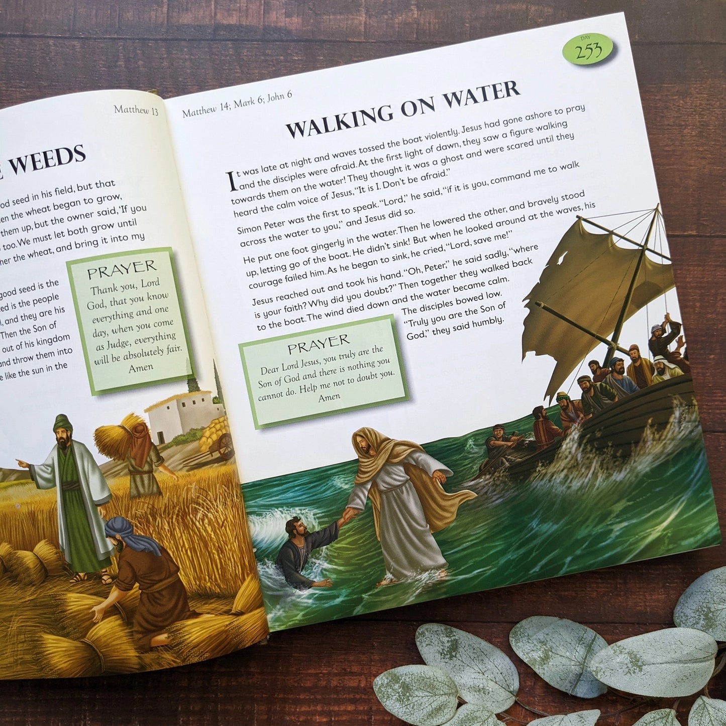 The Complete Illustrated Daily Verse and Prayer Bible For Kids