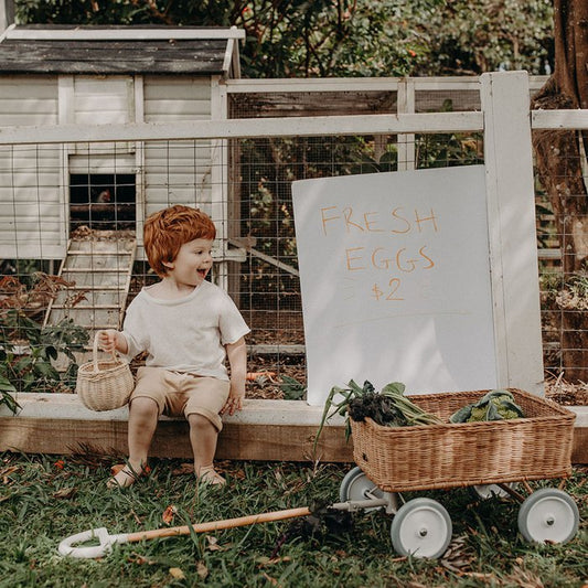 Rattan Wonder Wagon