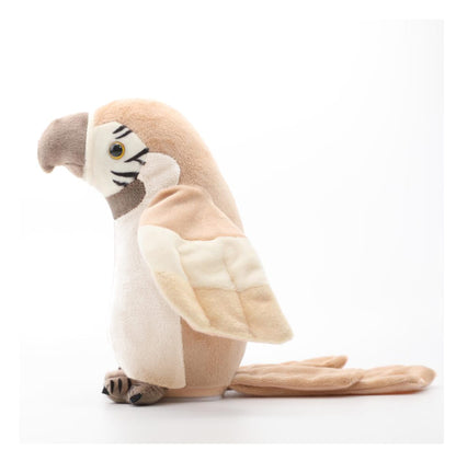Pierre - The talking parrot